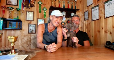 Новые владельцы